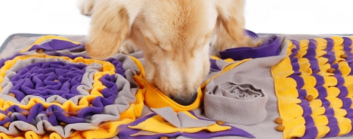 maty węchowe zabawki dla psa